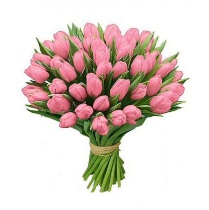 букет 51 розовый тюльпан