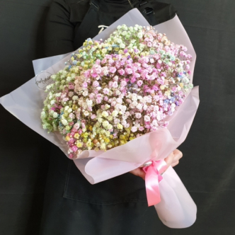 Цветы гипсофила купить новосибирск доставка цветов в нижнекамске татарстан