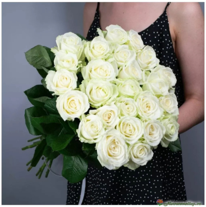 25 белых роз