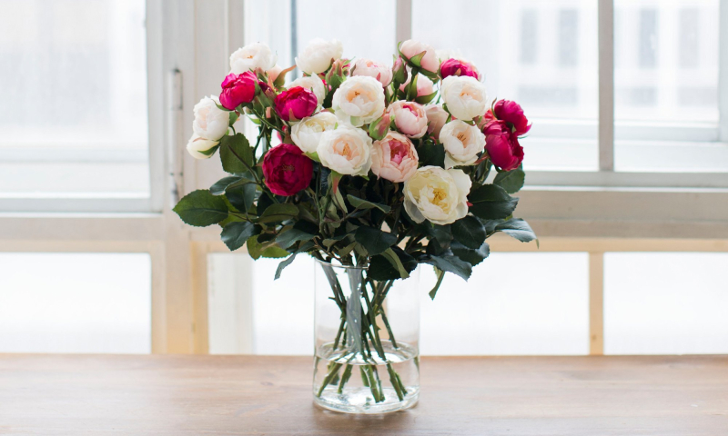 Что делать, чтобы тюльпаны, мимозы, розы и другие цветы простояли дольше